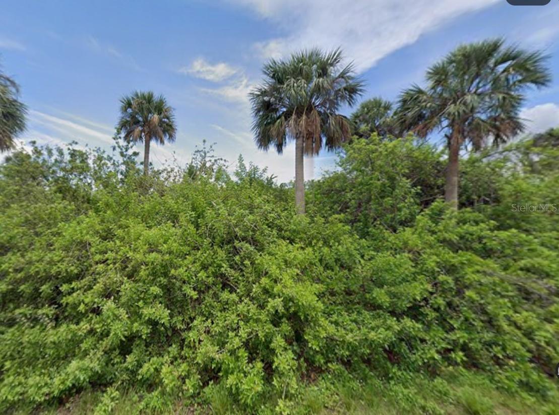 14529 Mcmillin Avenue, FL