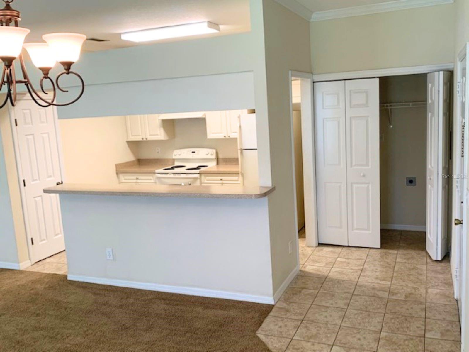 1707 Eagle Pond Drive, FL