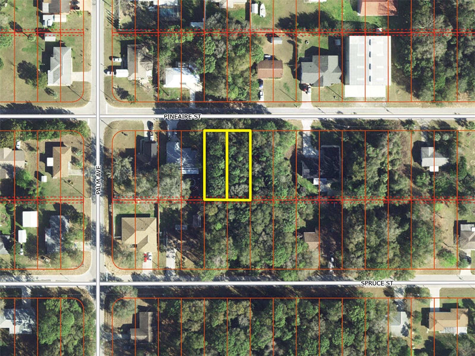 801 Pineaire St, FL