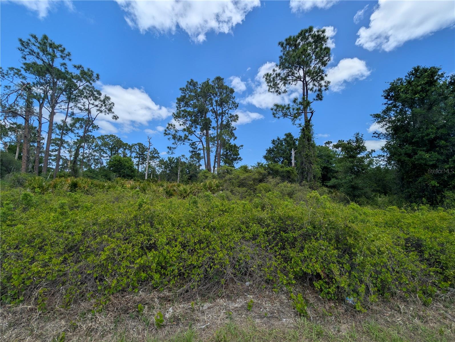 784 Washington Boulevard, FL