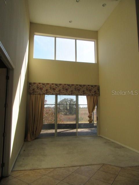 4509 Powderhorn Place Drive, FL