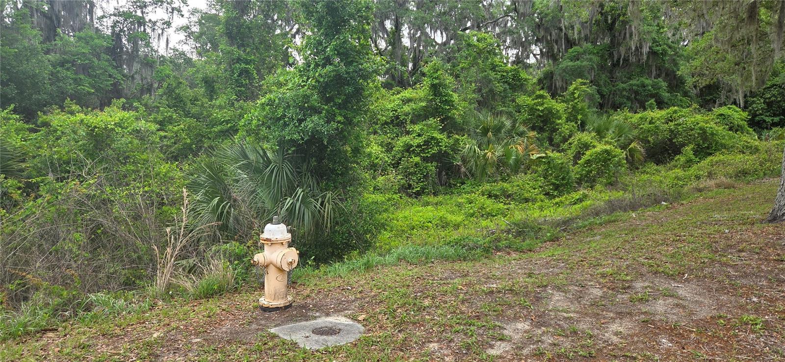 2392 Heritage Oaks Path, FL