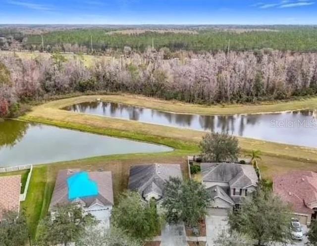 10918 Ancient Futures Drive, FL