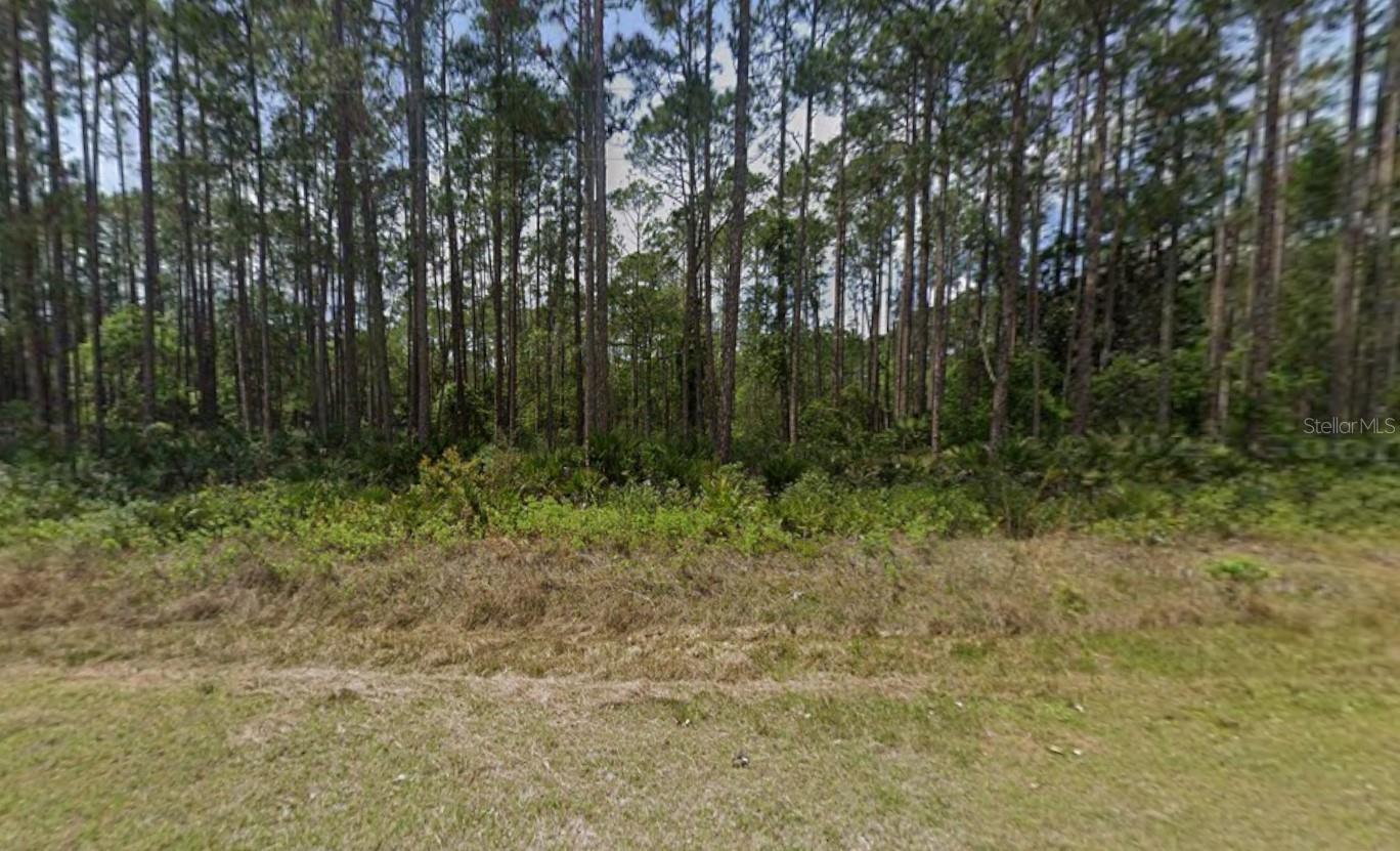 141 E Boundary Dr, FL