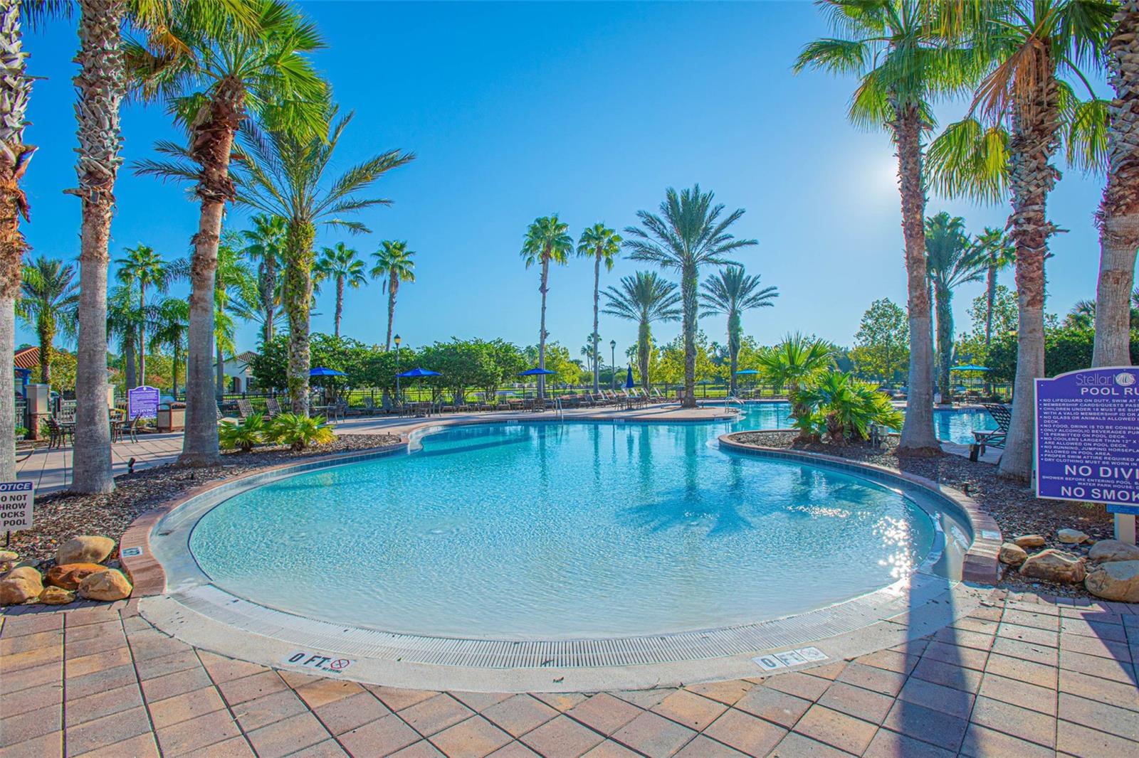 2000 Goblet Cove Street, FL
