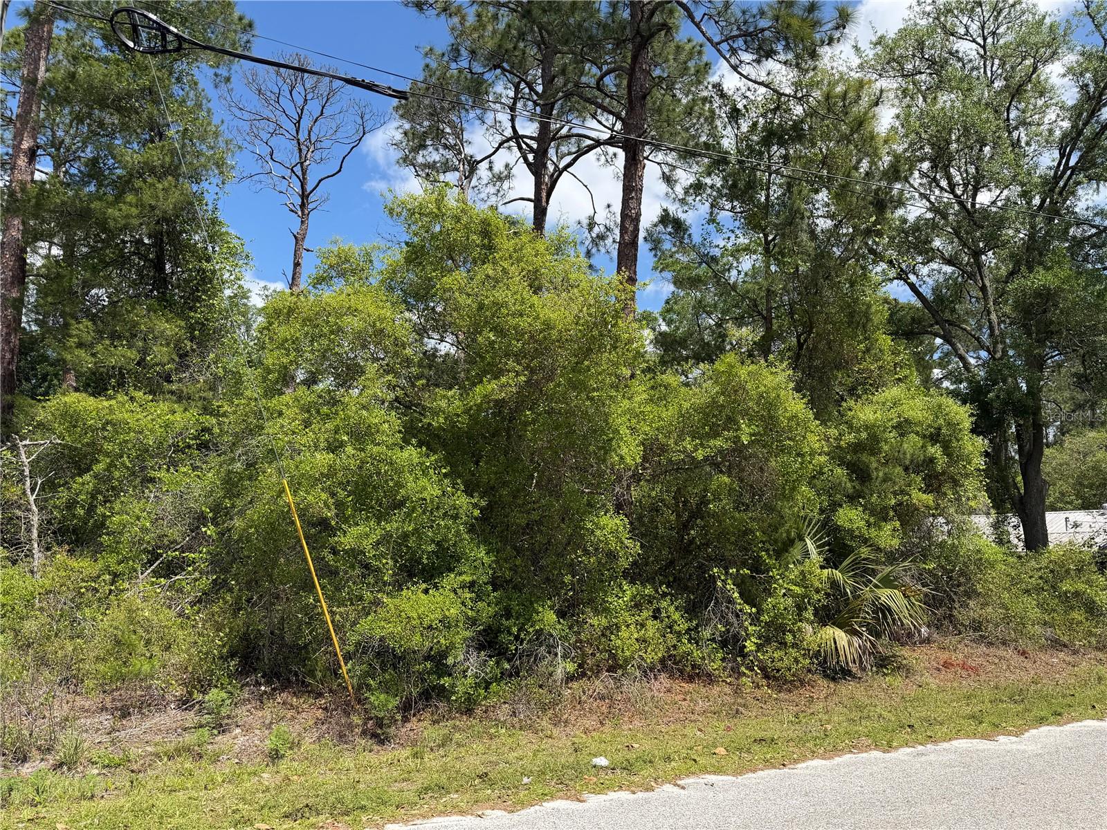 Maryland St, FL