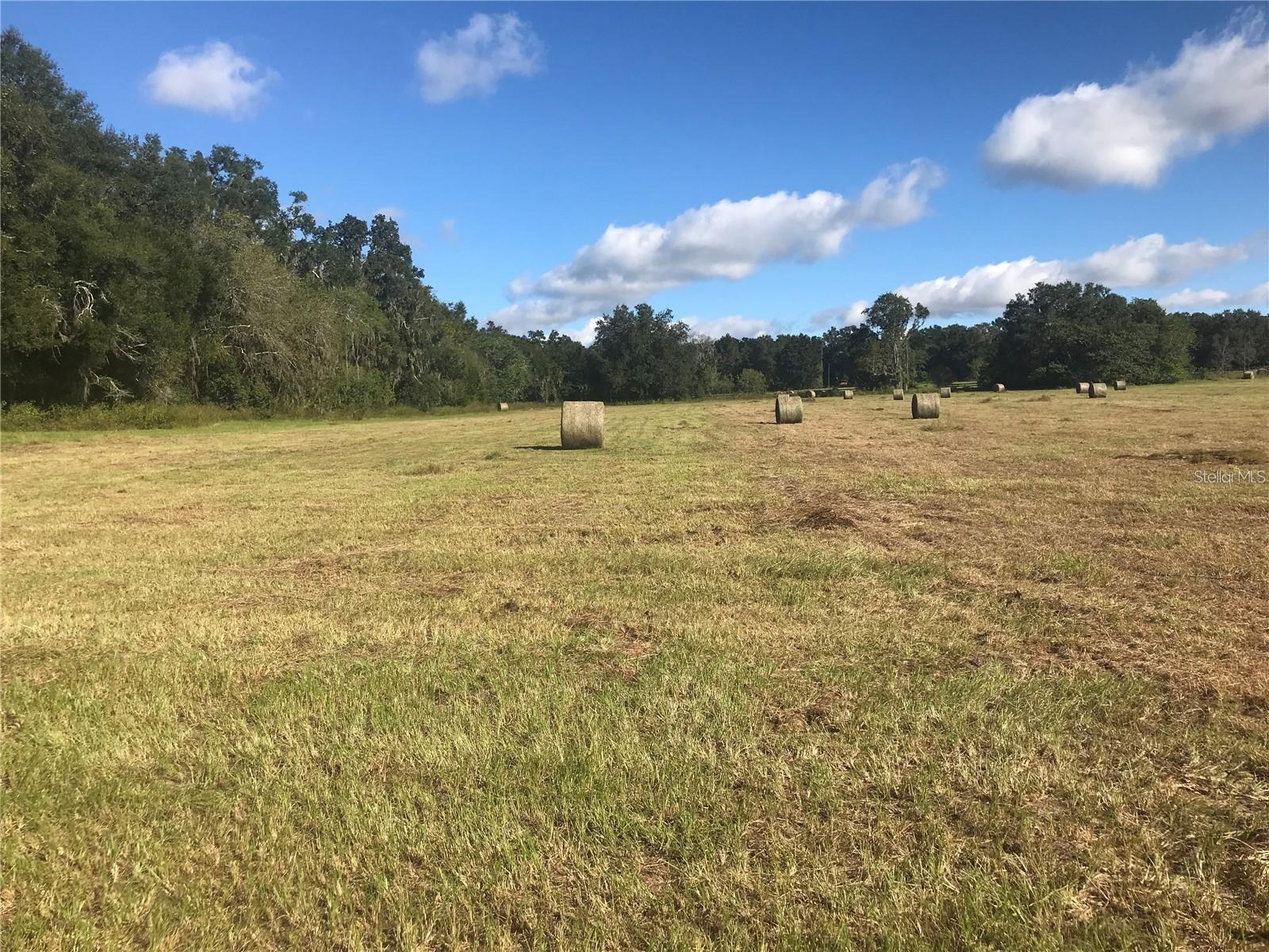 Tbd 133rd, FL