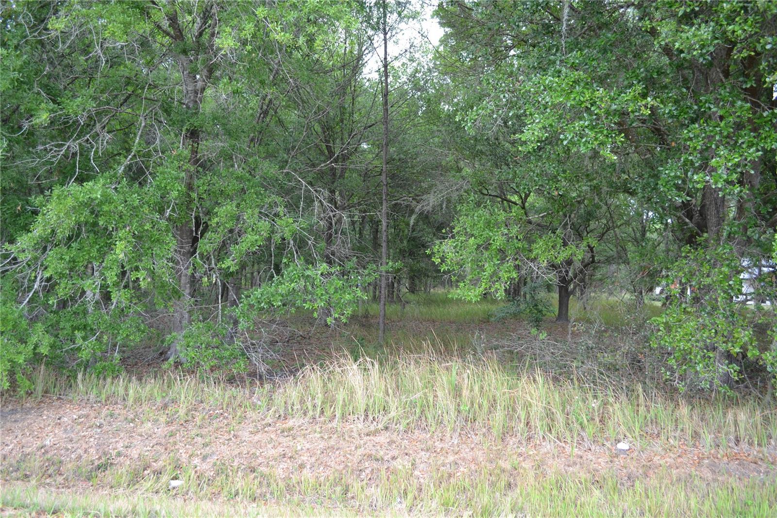 Bostick Rd, FL