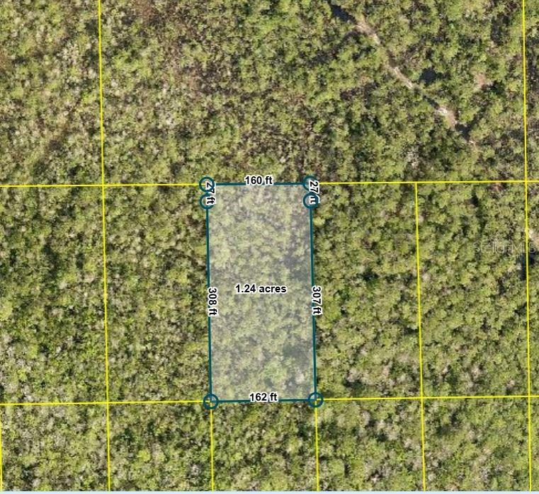 Pid 710801150080 No Street, FL