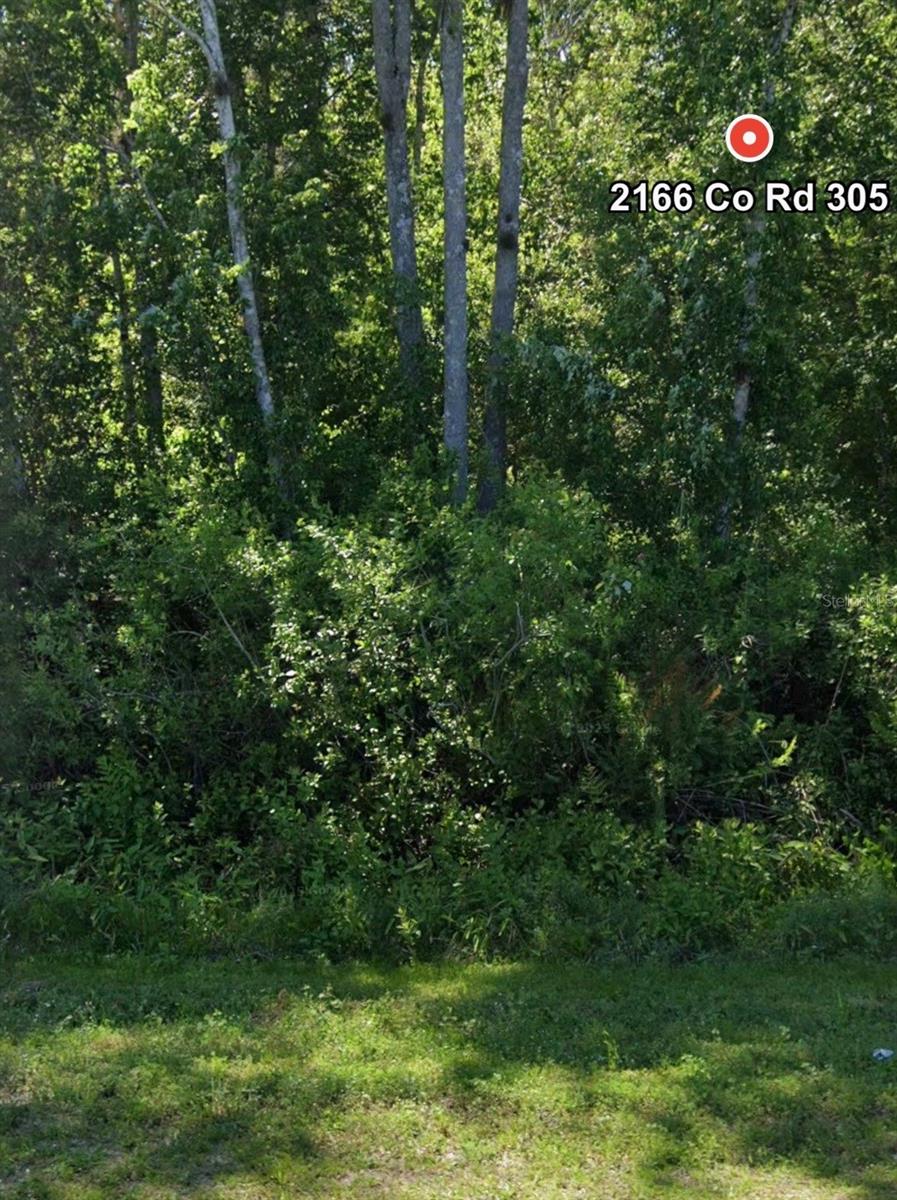 2166 Cr-305, FL