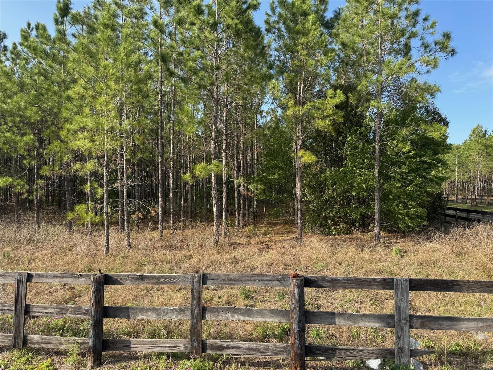 State Road 44, FL