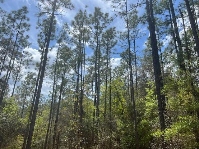 181 Whirlwind Loop, FL