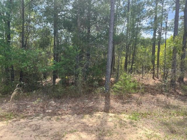 181 Whirlwind Loop, FL