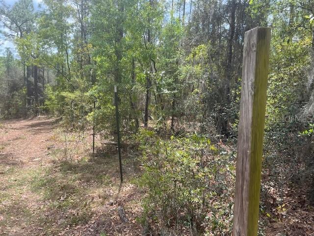181 Whirlwind Loop, FL