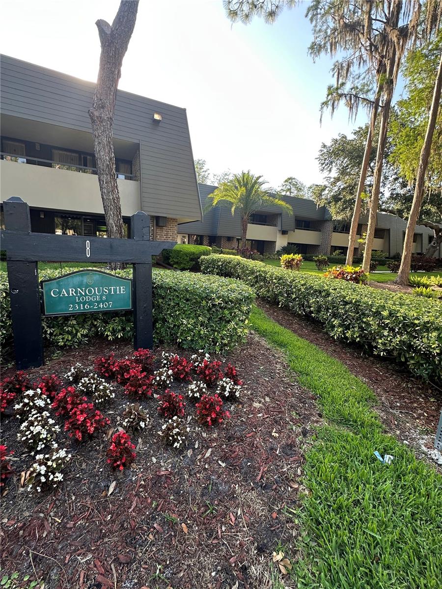 36750 Us Highway 19 N #2328, FL
