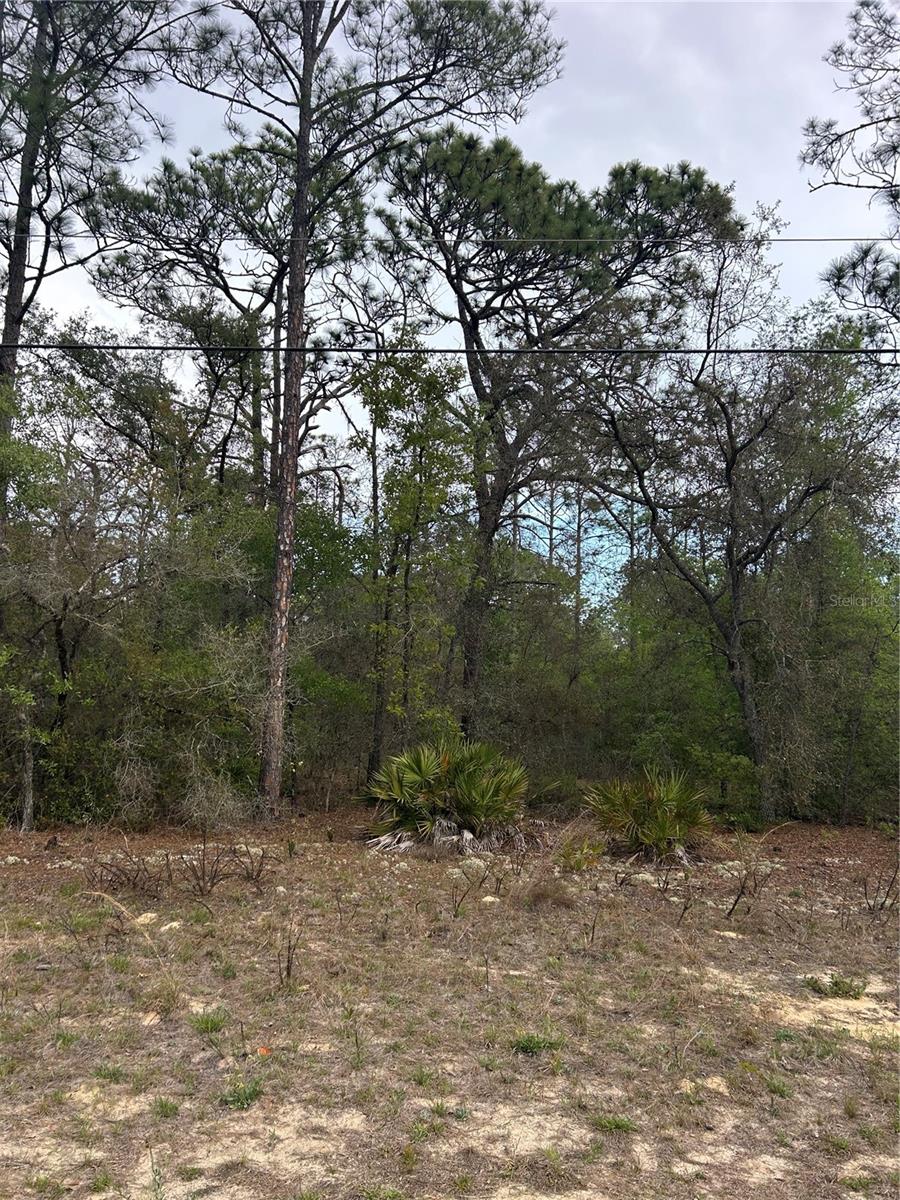 742 E Weldon Ln, FL