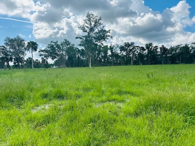 17450 Highway 19, FL