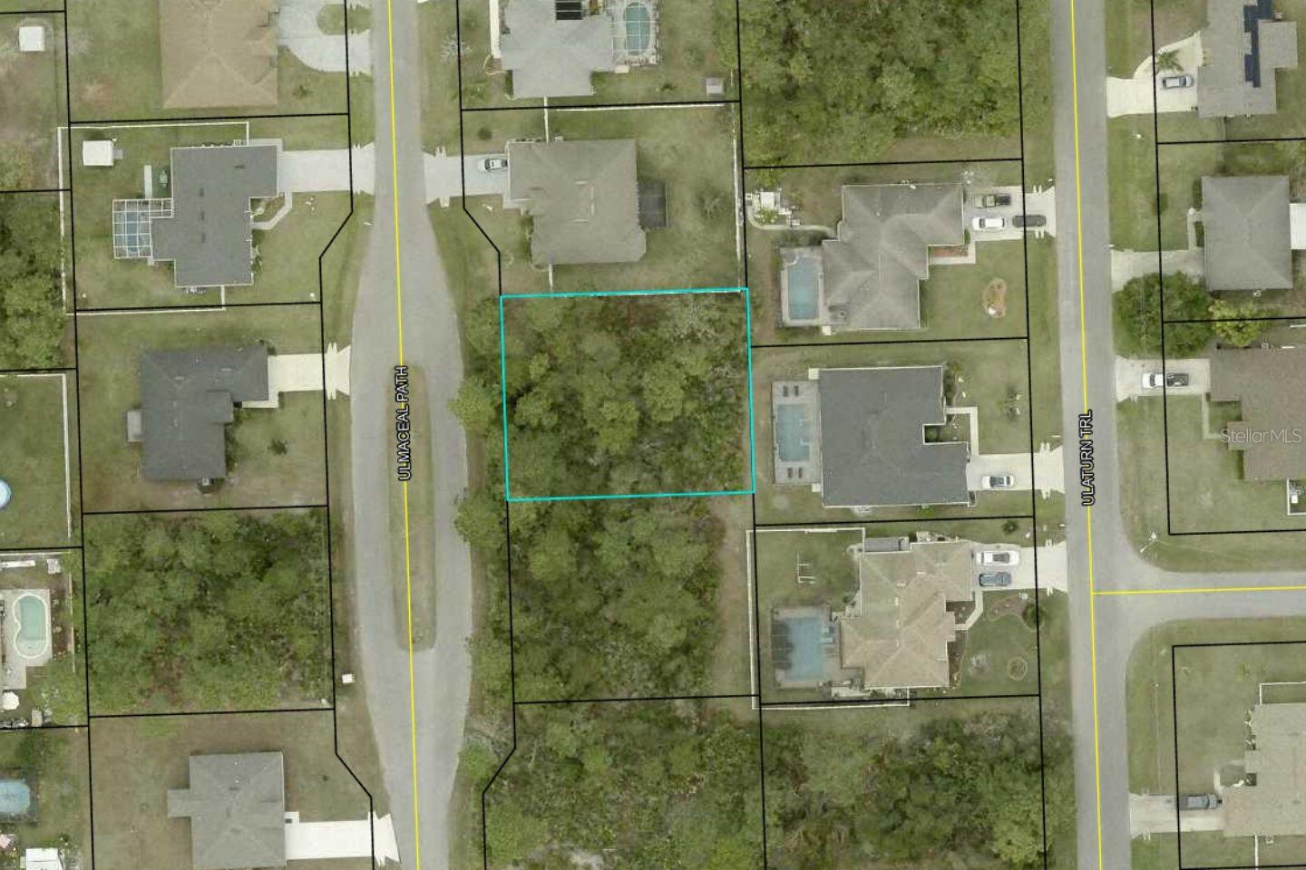 25 Ulmaceal Path, FL