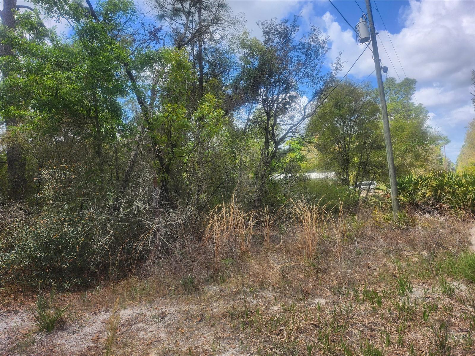 Tbd Ne 236 Ln, FL