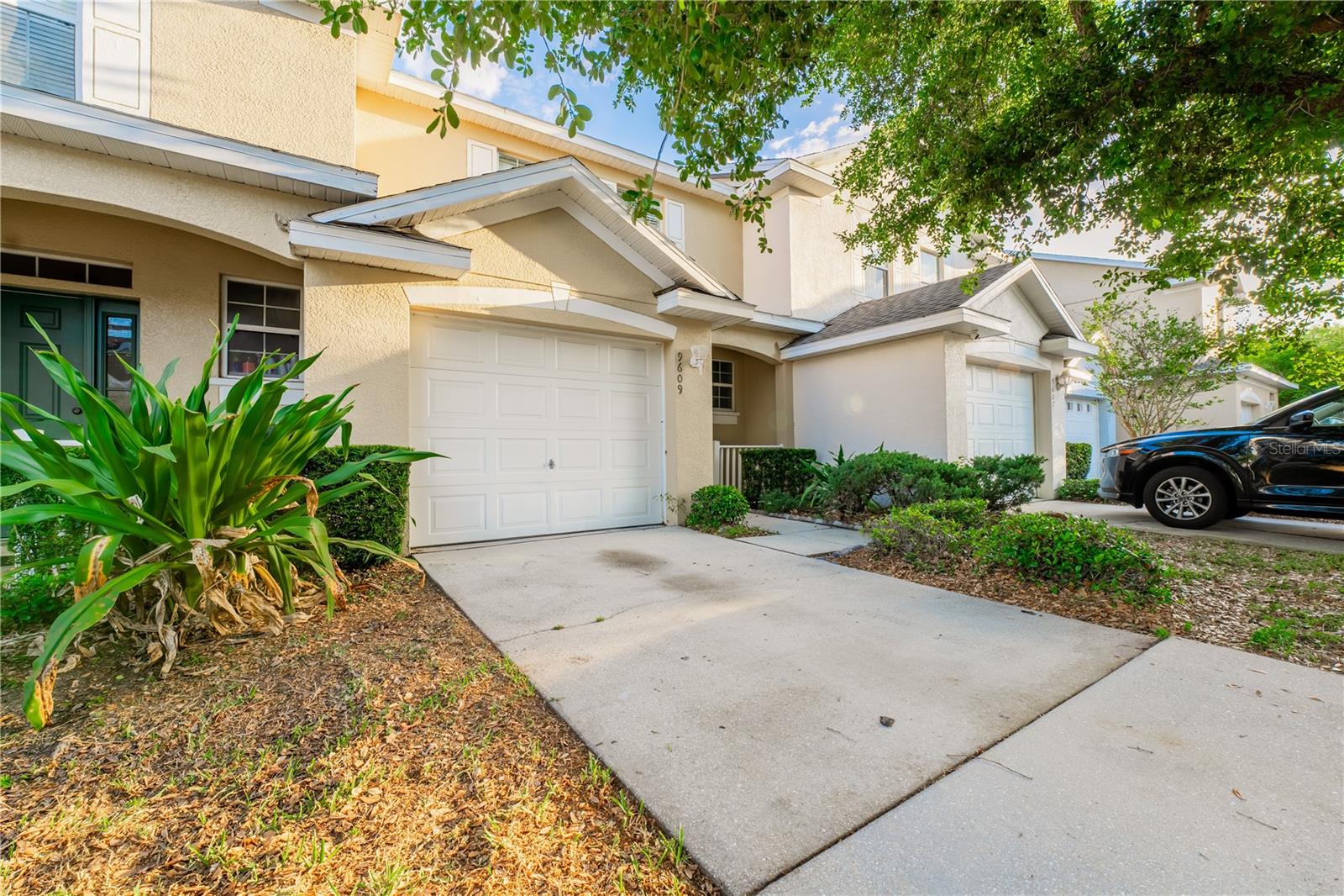 9609 Carlsdale Drive, FL