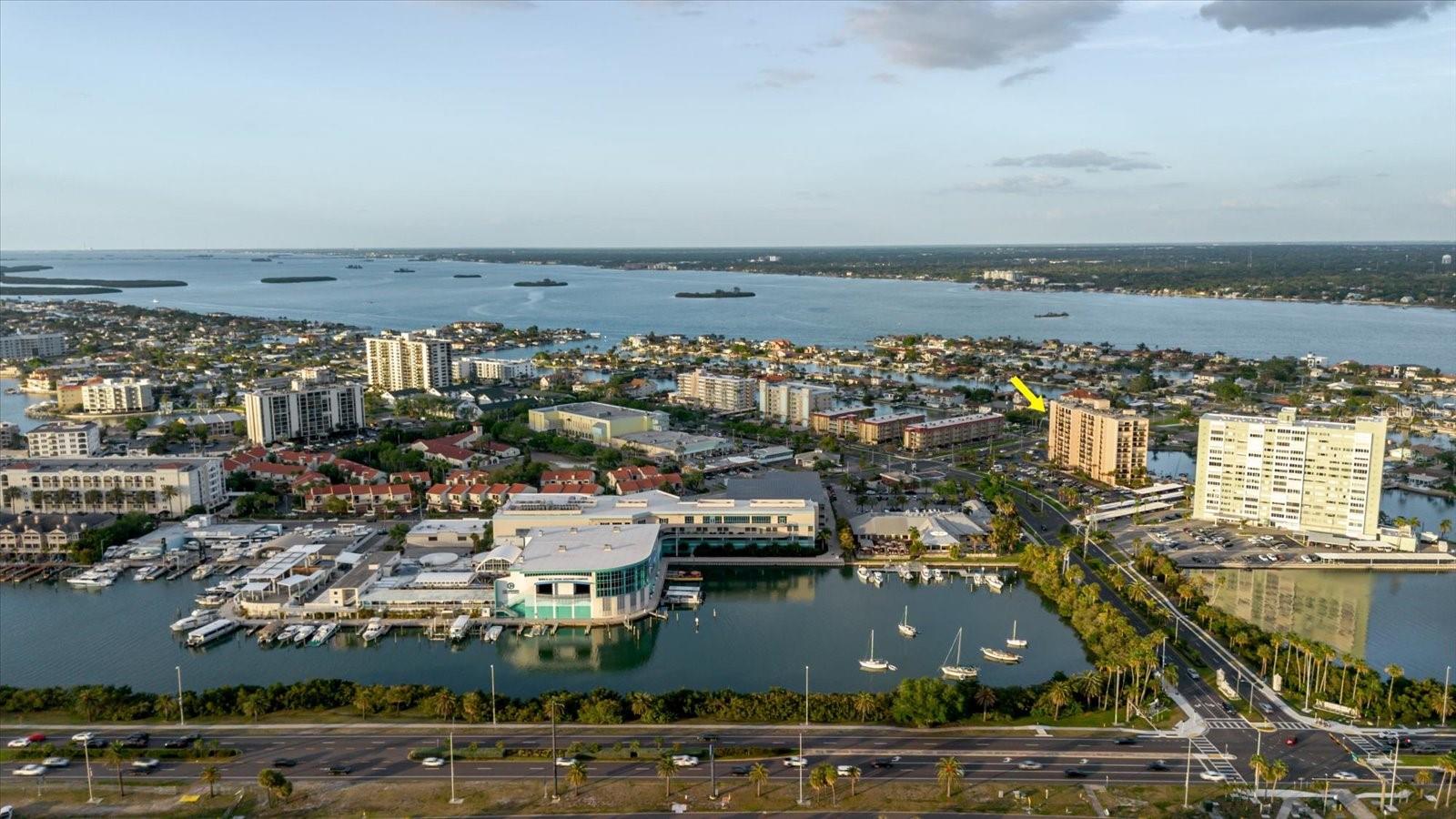 51 Island Way #801, FL