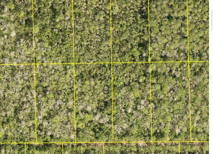 Pid 710801150230 No Street, FL