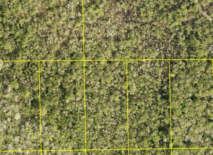 Pid 710801150090 No Street, FL