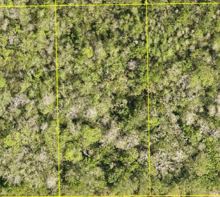 Pid 710801150220 No Street, FL