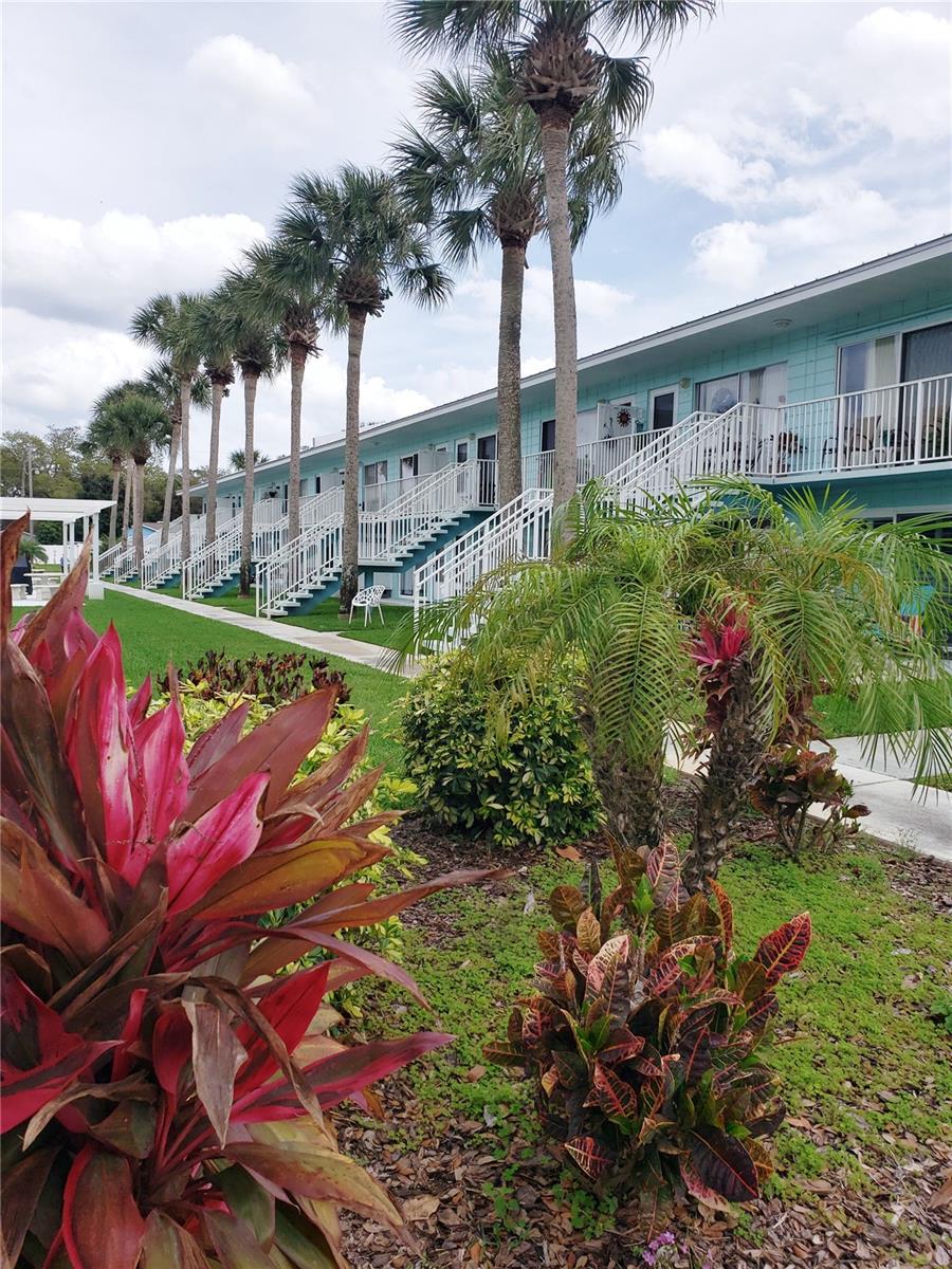 541 Peninsula Avenue, FL