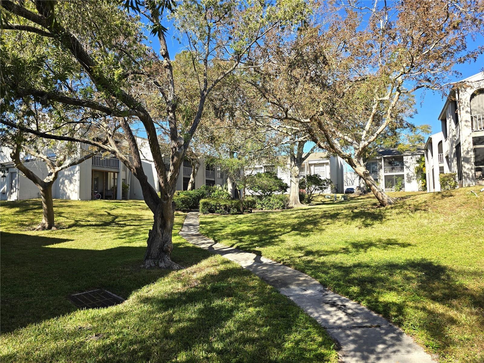 2625 State Road 590, FL