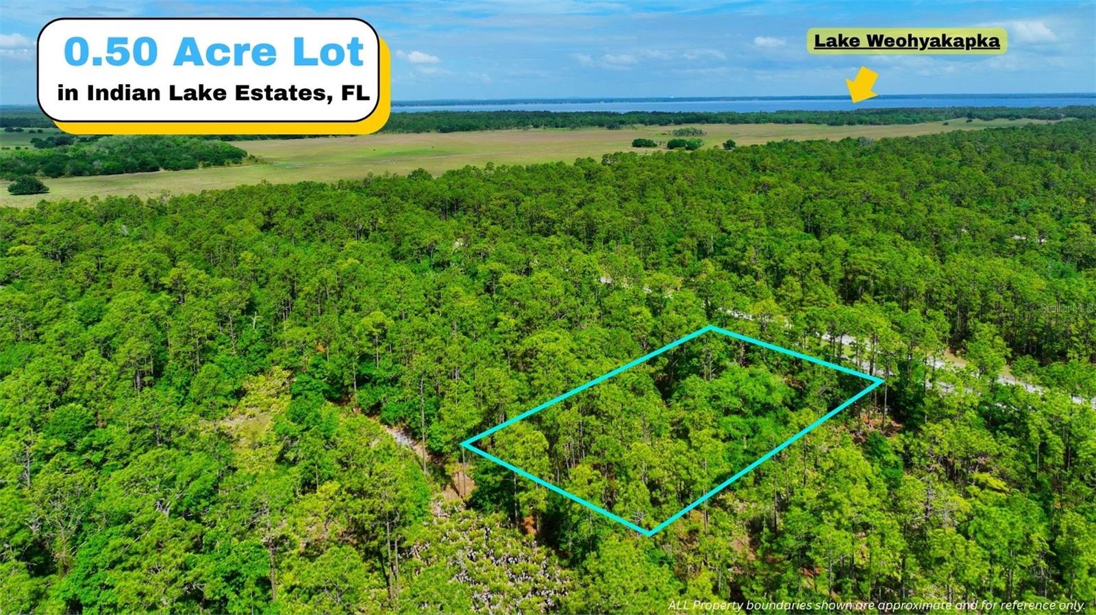 Tbd Lot 20 Japonica Ave, FL
