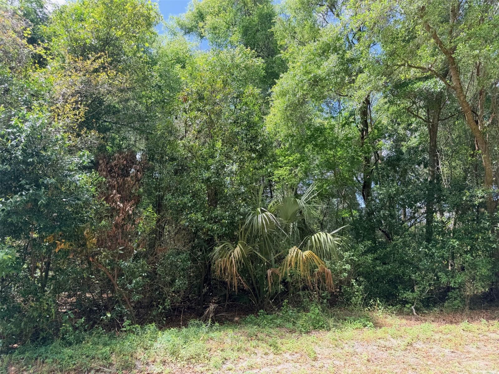 17170 Nw 73rd Ter, FL