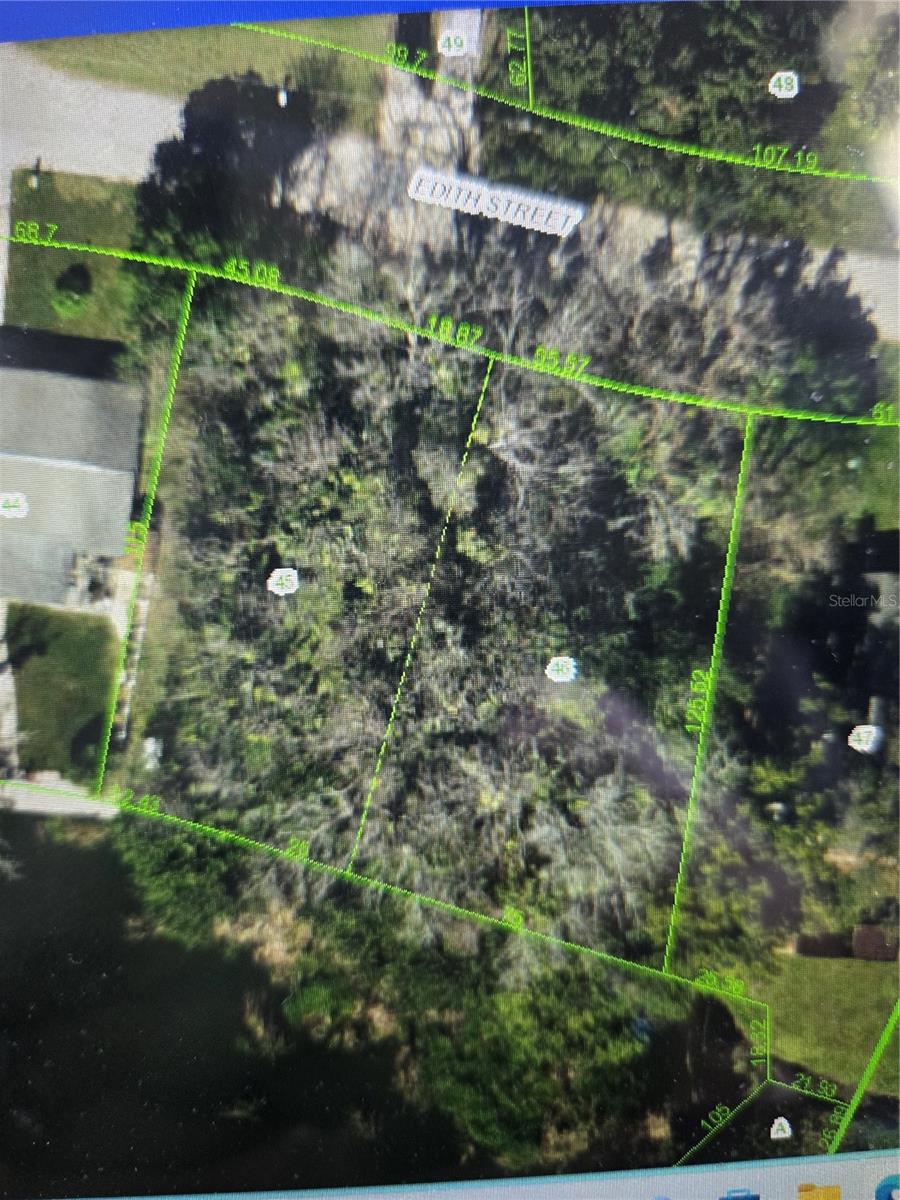 4602 Edith Street, FL