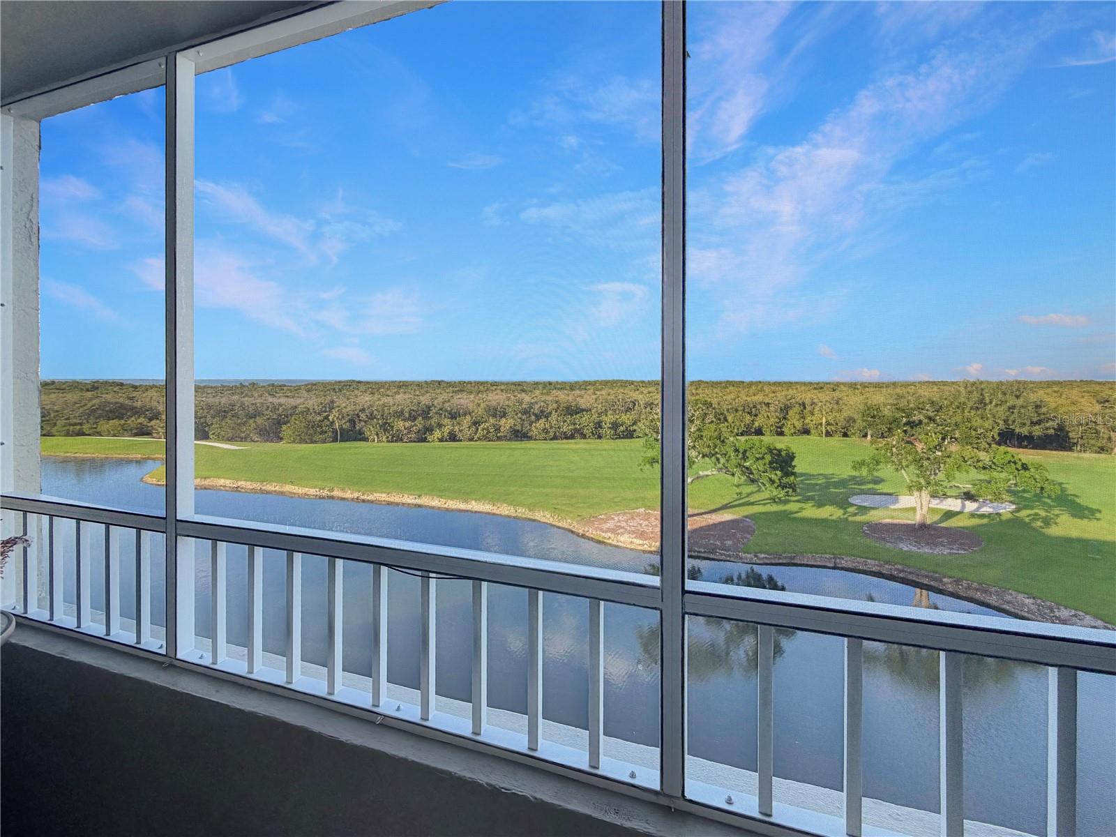 2333 Feather Sound Drive, FL