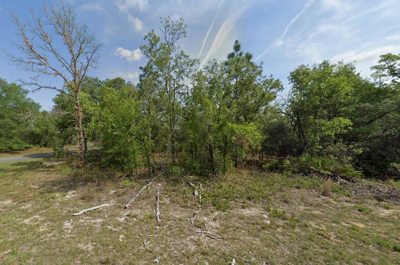 1389 W Pendleton St, FL