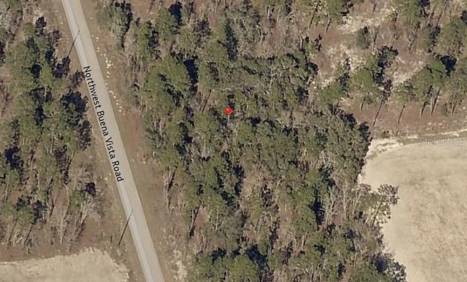 13 Nw Buena Vista Rd, FL