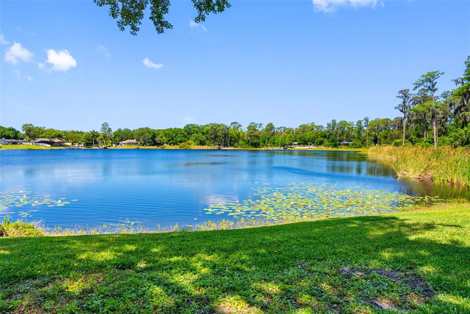 10209 Lake Grove Drive, FL