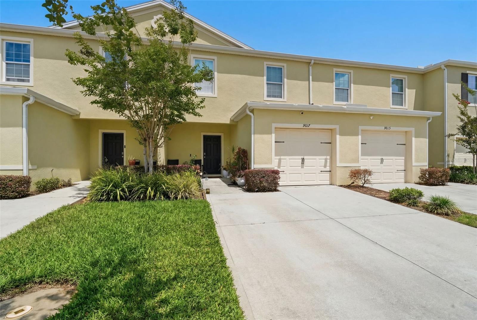 9017 Alba Lane, FL