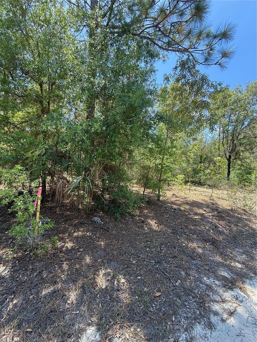 Ne 118th Ln, FL