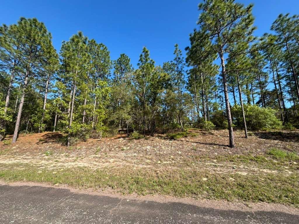 9161 N Marcus Way, FL