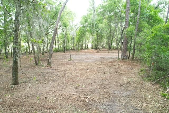 Locust Run Course, FL