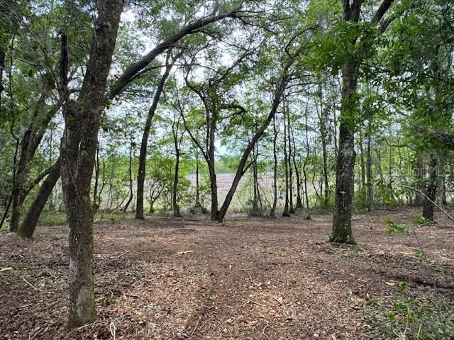 Locust Run Course, FL