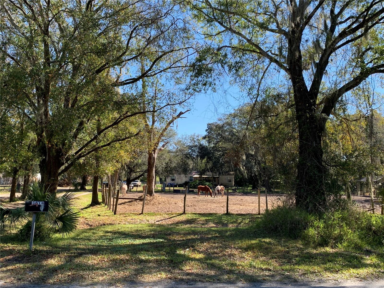 5614 Watson Rd, FL