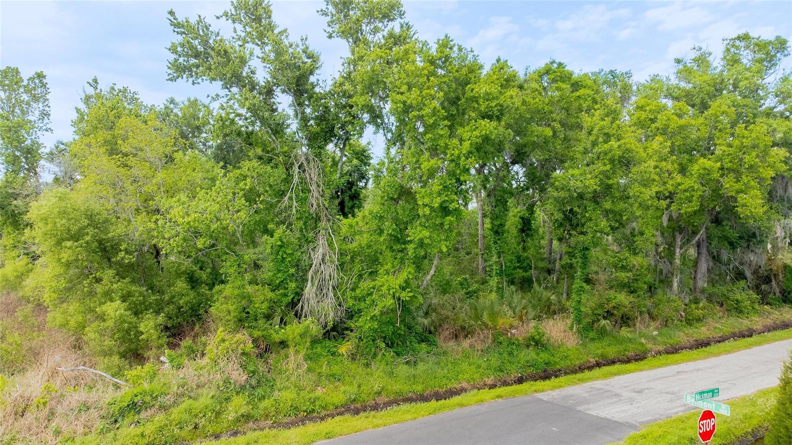 Hickman Ave, FL