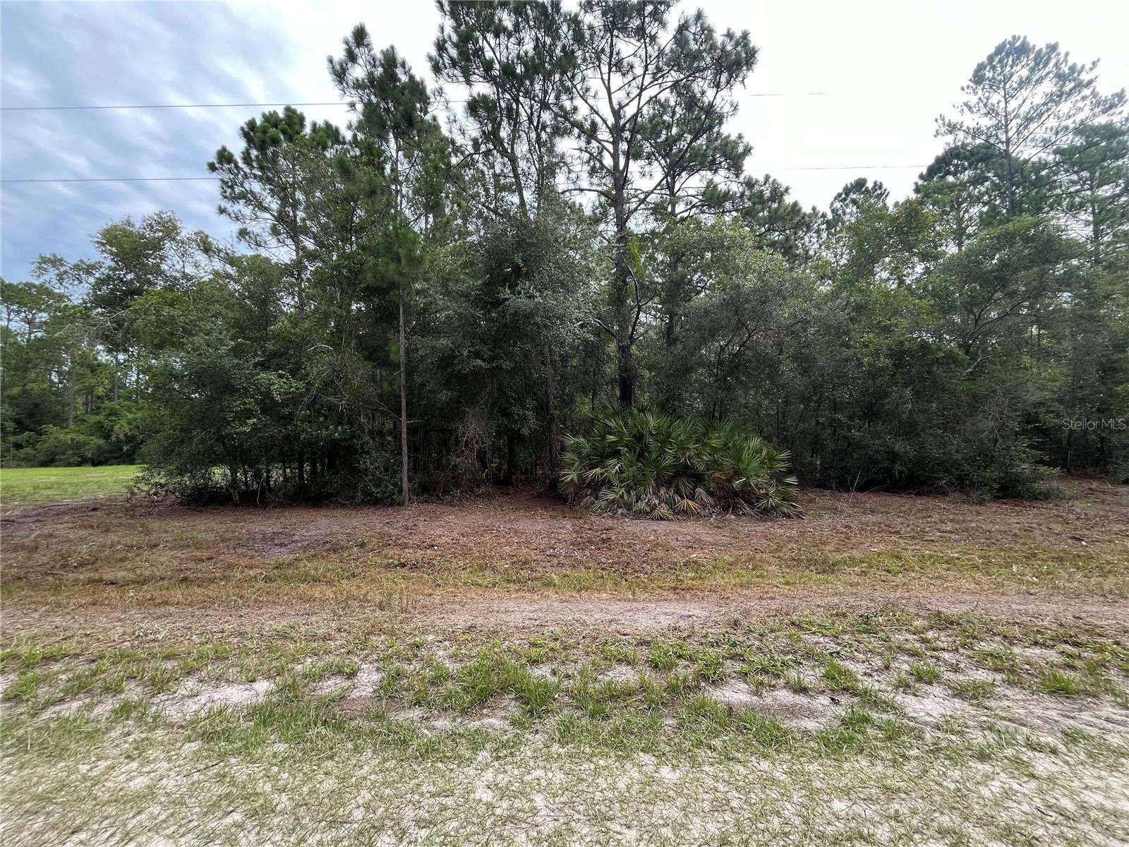 124 Glenside St, FL