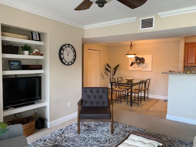 455 Alt 19, FL