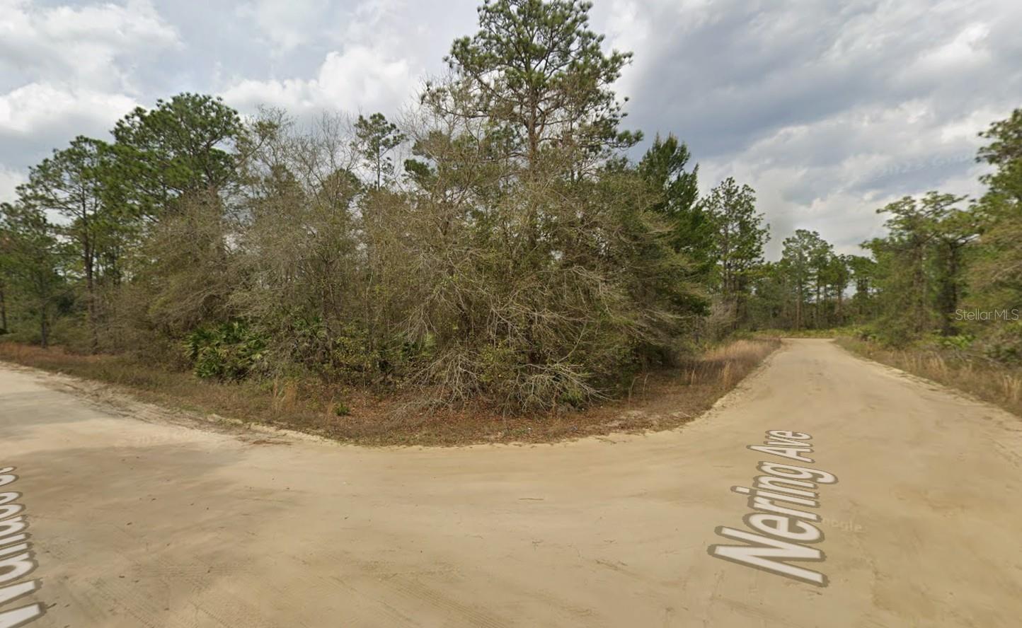 Lot 18 Wallace St, FL