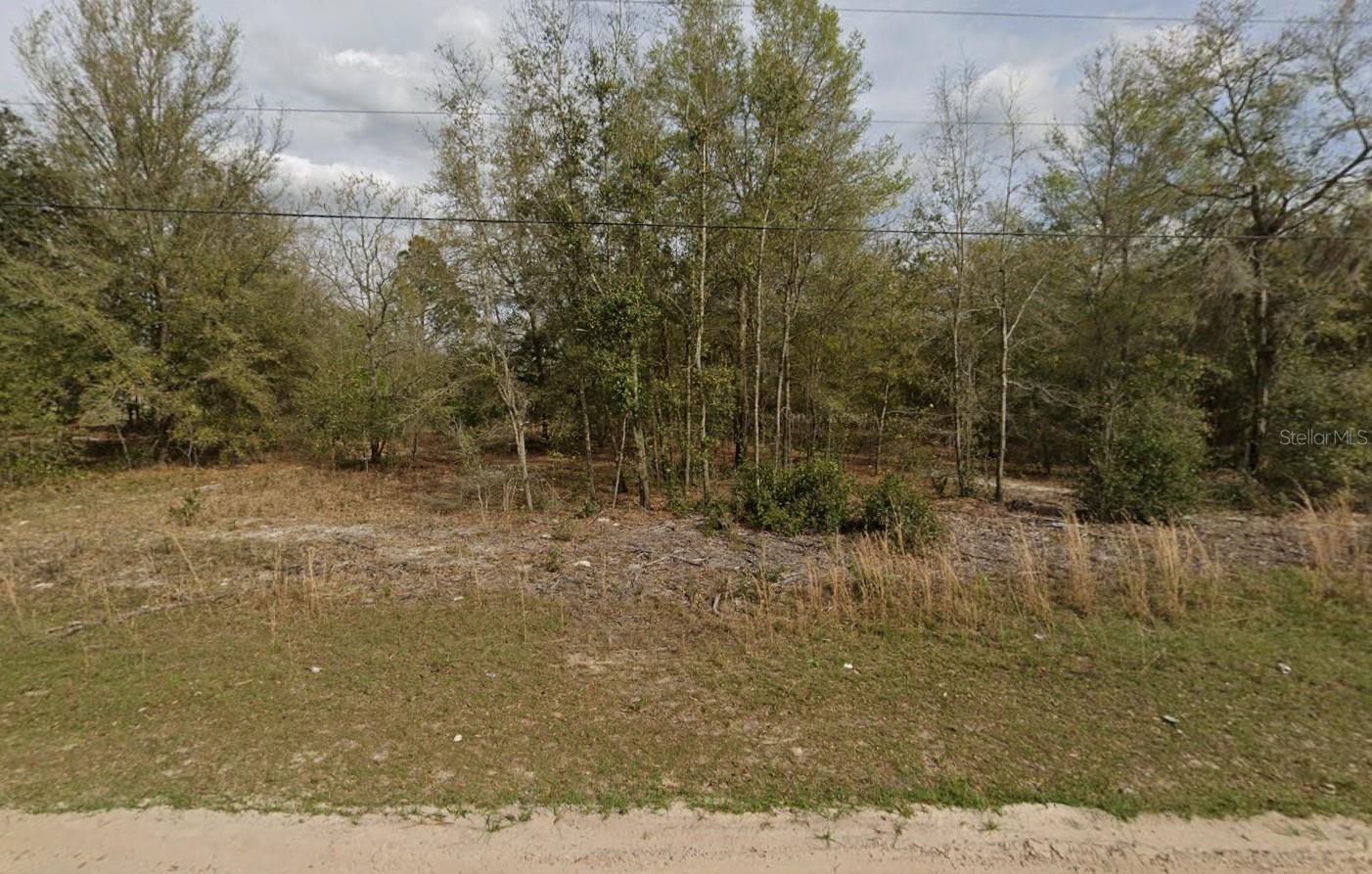 Lot 15 Marion Ave, FL