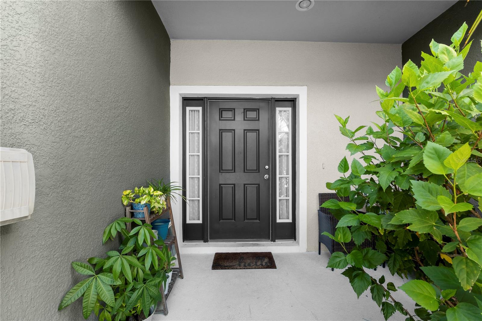 6492 Boxgrove Drive, FL