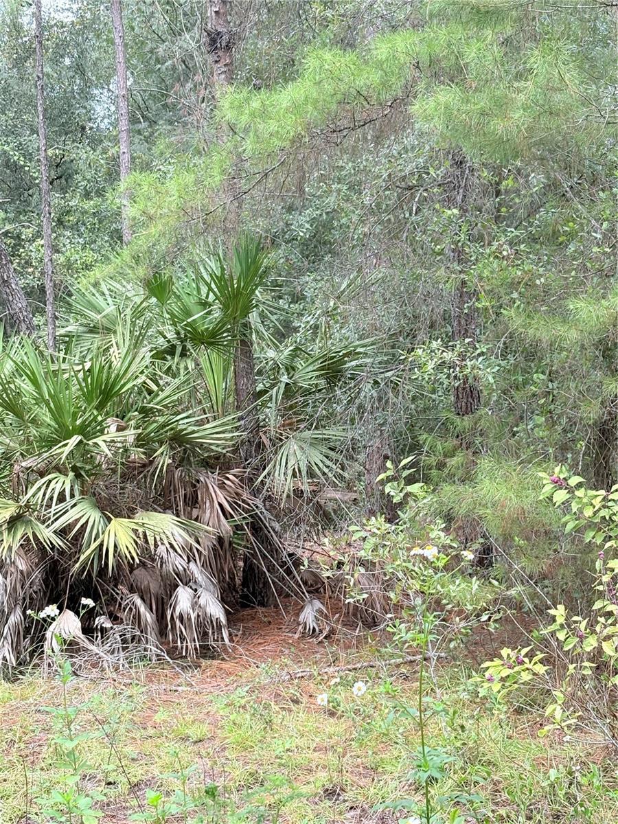 Tbd Ne 237th Pl, FL